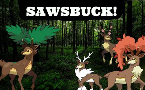 is sawsbuck good